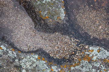 natural background of small stones, sand. moisture and fungus.