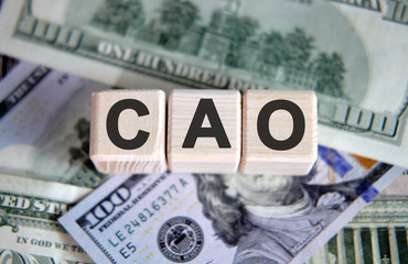 Fototapeta premium CAO financial business concept. Wooden cubes and paper dollar bills as a background