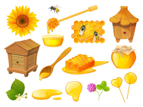 Honey Isolated Set, Beekeeping Products, Wooden Beehive Apiary, Vector Illustration. Honeycomb And Beeswax, Natural Organic Sweets, Jar Of Pure Nectar. Honeybee, Sunflower, Wooden Spoon, Syrup Dipper