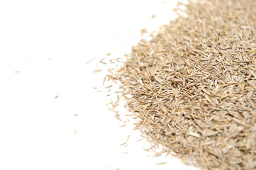 Bunch of grass seeds with several different sorts and therefore sizes and shapes on a white background