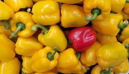 Paprika at the  grocery store.