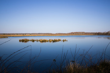 Das Moor im Weitwinkel