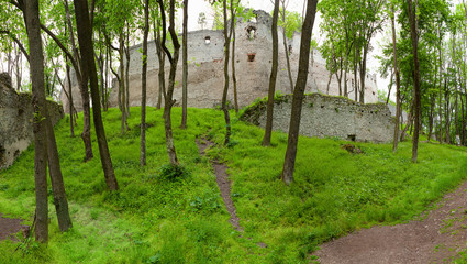 Rubble of old Dobra Voda castle (build in 13th century) in Slovak Republic. Western Slovakia. Ruin of ancient castle in forest. Wreck of old stronghold. Remains of walls, towers and fortification.
