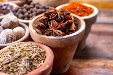 Indian spices collection, dried aromatic star anise and another spices in clay bowls