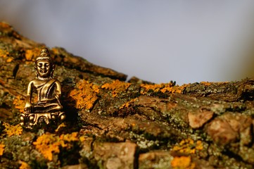 metal Buddha figure on a log