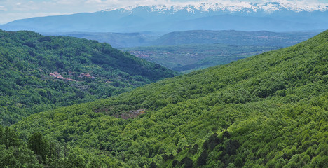 Obraz premium Spectacular impenetrable virgin jungle