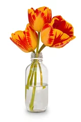 Fotobehang "Prinses Irene" tulip in small glass bottle. With clipping path. Isolated on white background. Minimalistic design. Blossoming tulip in glass vase. Orange - yellow tulip with stem. © peter