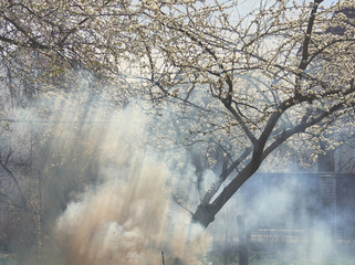 Smoke from burning of branches and leaves.