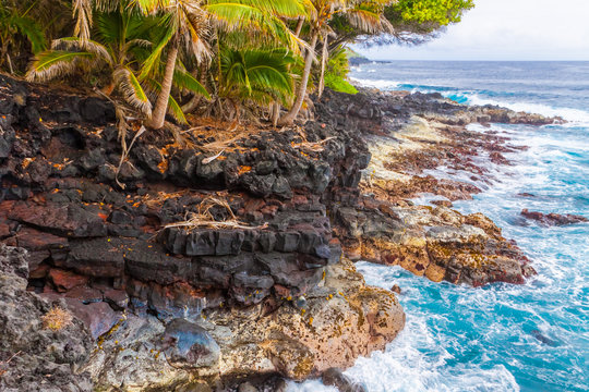 Rocky Palm Covered Shores of The Puna District on The Big Island of Hawaii, Hawaii, USA