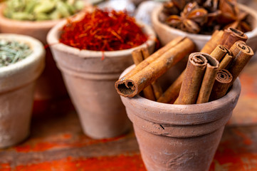 Indian spices collection, dried aromatic cinnamon barks and another spices in clay bowls