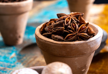 Indian spices collection, dried aromatic star anise and another spices in clay bowls