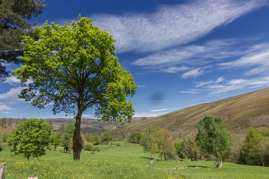 Barcenillas and surrounding area in Cantabria (Spain)