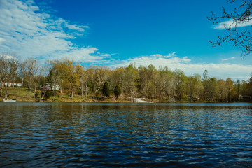 lake in the forest