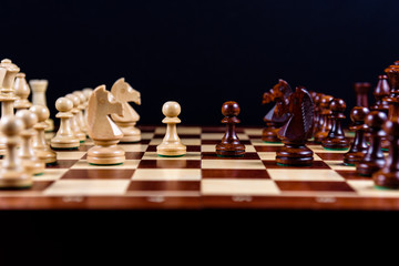 debut of four horses