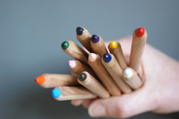 Hand holding many multi colored pencils against a gray background