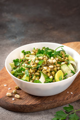Salad with mung bean, parsley and cucumber in a white bowl on the table. Healthy vegetarian salad.