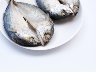 Top view of double mackerel fish, Rastrelliger brachysoma on white plate to cooking isolated on white background.