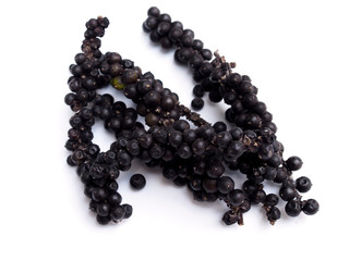 Selective focus of fresh black peppercorn seed isolated on white background.