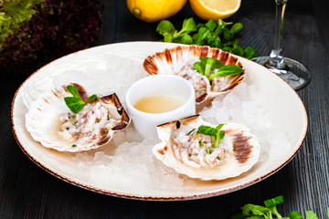 Ceviche. Finely chopped raw squid marinated in lemon juice served in seashell.