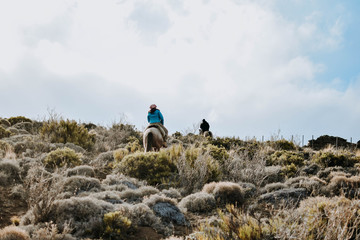 siguiendo el camino