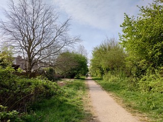path in the park