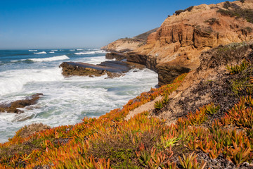 Red Sandstone Cliffs on  The Pacific Coast, Point Loma, Cabrillo National Monument, California, USA
