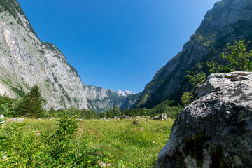 Fototapeta premium scenery around the Lake Königssee