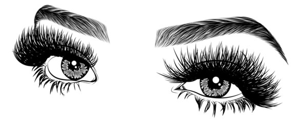 Illustration with woman's eyes, eyelashes and eyebrows. Realistic sexy makeup look. Tattoo design. Logo for brow bar or lash salon.