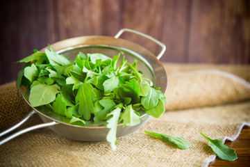 arugula in a colander on a wooden table