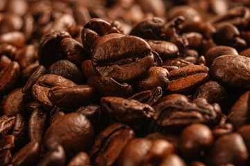 Coffee beans in close up.