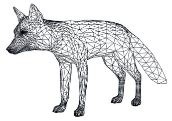 Fox polygonal lines illustration. Abstract vector fox on the white background