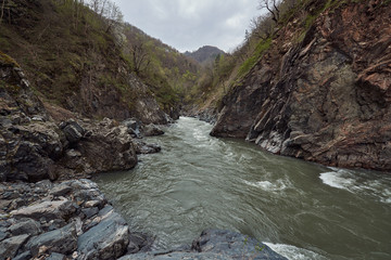 Gorge of the mountain river