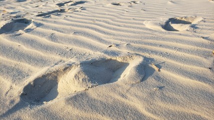 areia, praia, branca, natureza, mar, vida, férias, pegada, pé