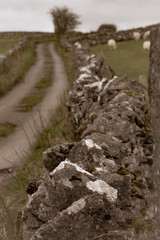 stone path in the mountains