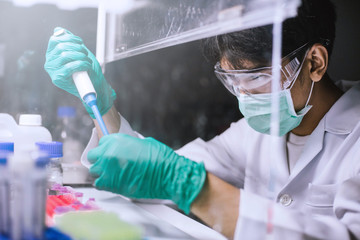 Young scientist using pipette transfer sample to Micro Centrifuge Tube for PCR test in Biosafety...