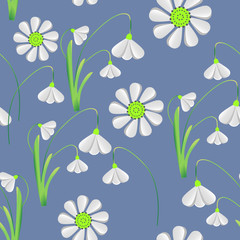 Snowdrop Galanthus vector seamless pattern