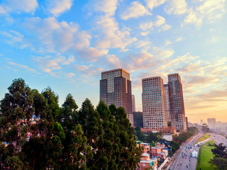 Sao Paulo visto do ar