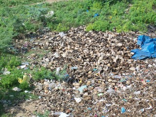 pile of waste