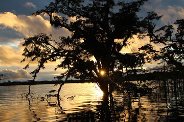 Letzte Sonnenstrahlen 