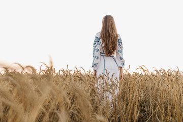 Ukrainian girl in a wheat field, view from the back