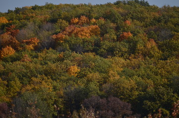 Fototapeta premium autumn in the mountains
