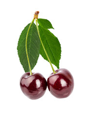 Cherry with green leaves  isolated on white background with clipping path