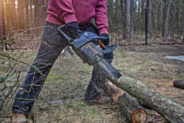 felling trees in the forest with a chainsaw