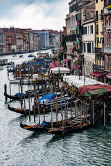 venice grand canal in the morning with gondolas