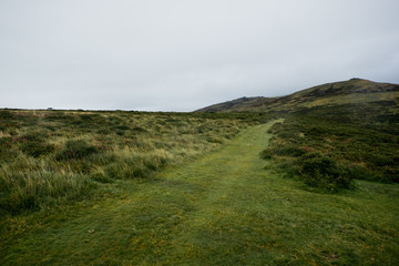 Fototapeta na wymiar Landschaft im Dartmoor