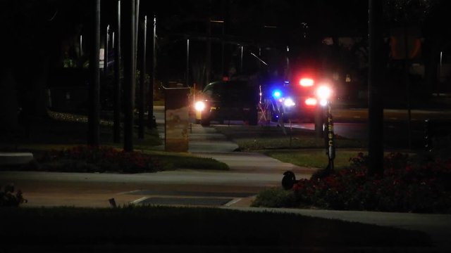 Police Officer Cop Car With Blue Red Flashing Lights Pulled Another Car Over At Night On Street Side Dark Neighborhood With Palm Trees