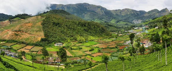 Foto op Canvas Tea plantations in Yellapatty village in Munnar, Kerala, India © estivillml