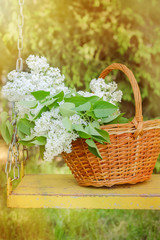 Fototapeta na wymiar bouquet of white lilacs in the basket. spring mood and beautiful background