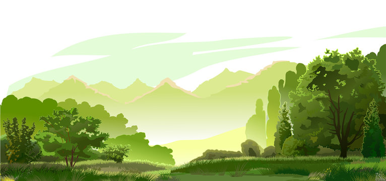 Forest, mountains in the distance. Vector. Green beautiful landscape. Mature trees, oysters and grass. On the horizon foggy mountains. Mysterious bright distance, yellow hills. Background.