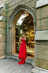 A woman in a red dress stands on a background of a medieval castle